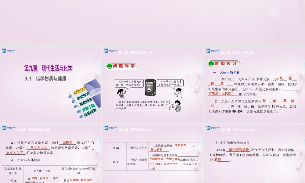 九年级化学下册 94 化学物质与健康精品课件 (新版)粤教版 课件