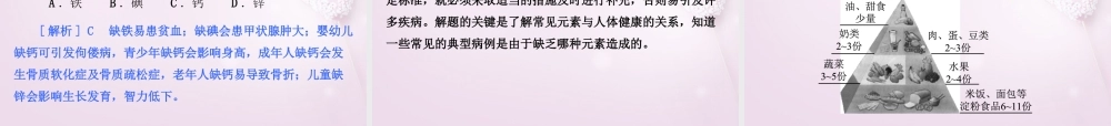 九年级化学下册 94 化学物质与健康精品课件 (新版)粤教版 课件