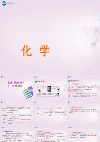 九年级化学下册 94 化学物质与健康精品课件 (新版)粤教版 课件