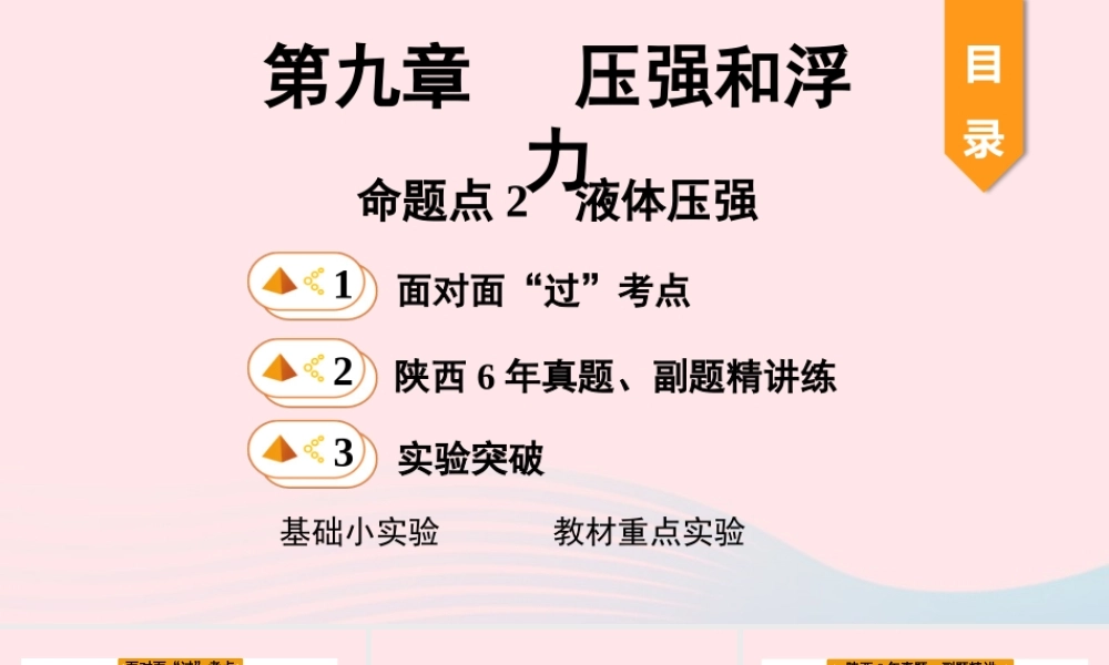 中考物理一轮复习 基础考点一遍过 第十章 压强和浮力 命题点2 液体压强课件