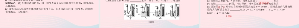 中考物理一轮复习 基础考点一遍过 第十章 压强和浮力 命题点2 液体压强课件