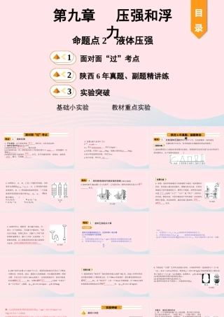 中考物理一轮复习 基础考点一遍过 第十章 压强和浮力 命题点2 液体压强课件