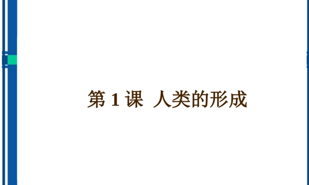 九年级历史 第1课人类的形成课件