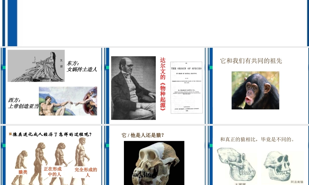 九年级历史 第1课人类的形成课件