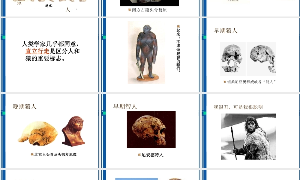 九年级历史 第1课人类的形成课件