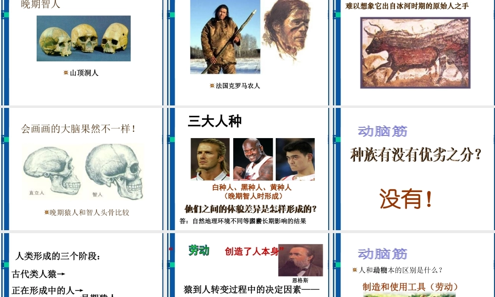 九年级历史 第1课人类的形成课件