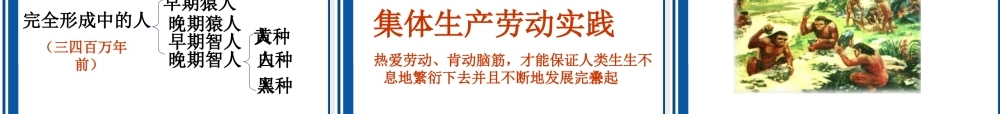 九年级历史 第1课人类的形成课件