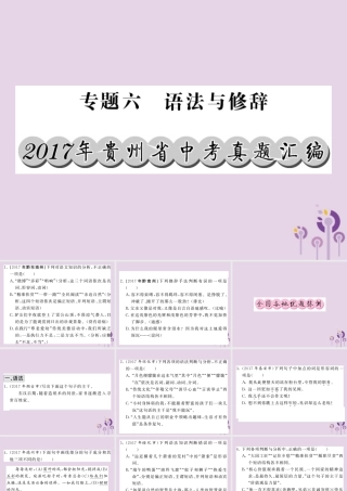 (贵州专版)中考语文复习 第二轮 第一部分 语言积累与运用 专题六 语法与修辞真题汇编课件