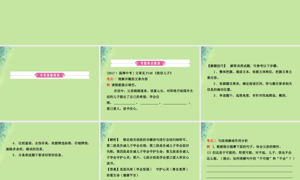 中考语文 专题十三 议论性文章阅读课件