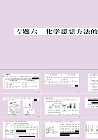 (遵义专版)中考化学总复习 第2编 重点题型突破篇 专题6 化学思想方法的应用(精练)课件