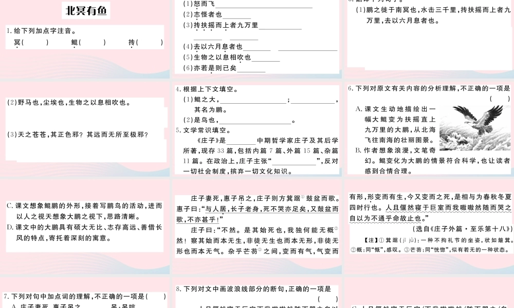 (武汉专版)八年级语文下册 第六单元 21(庄子)二则习题课件 新人教版 课件