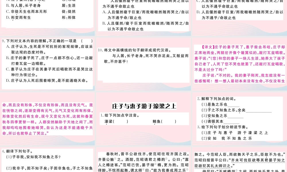 (武汉专版)八年级语文下册 第六单元 21(庄子)二则习题课件 新人教版 课件