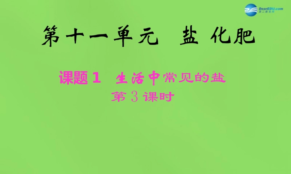 九年级化学下册 第十一单元 课题1 生活中常见的盐课件1 新人教版 课件