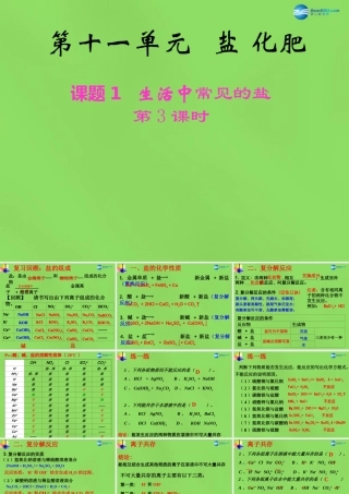 九年级化学下册 第十一单元 课题1 生活中常见的盐课件1 新人教版 课件
