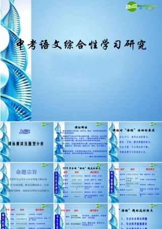 中考语文 综合性学习研究课件