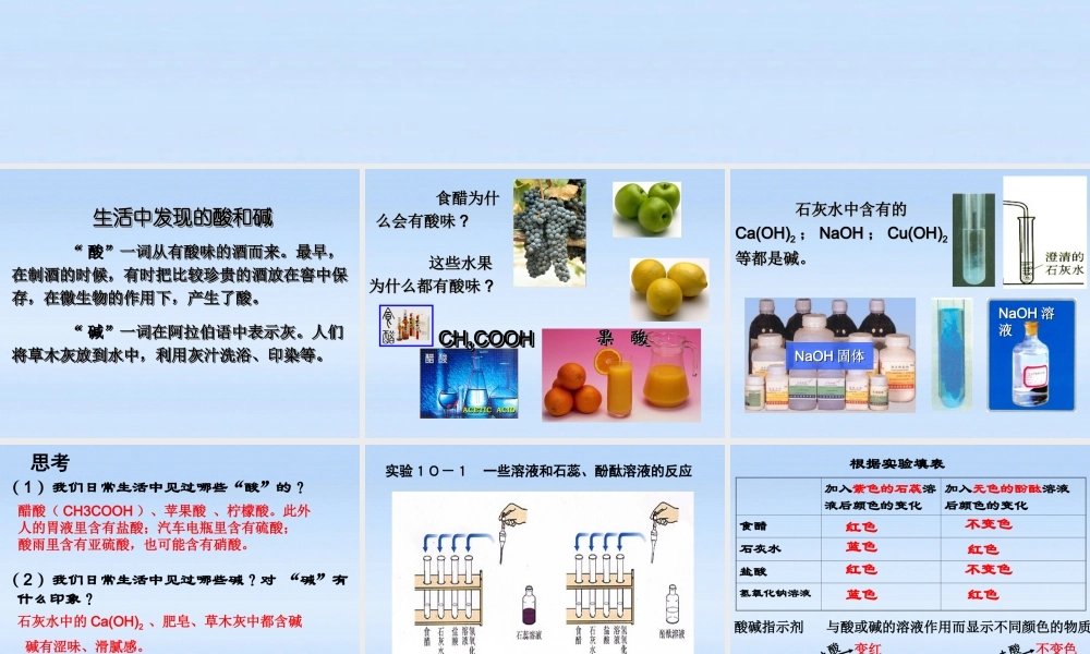 九年级化学下册 课题1常见的酸和碱1课件 人教新课标版 课件