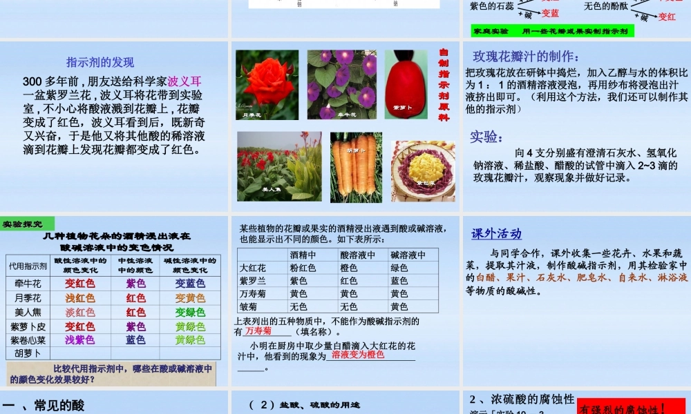 九年级化学下册 课题1常见的酸和碱1课件 人教新课标版 课件