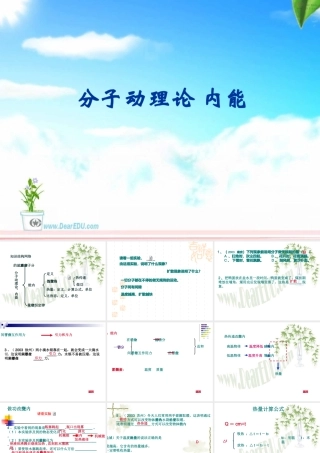 中考物理总复习 分子动理论 内能 新课标 苏科版 试题