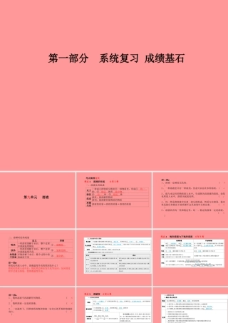 (临沂专版)中考化学总复习 第一部分 系统复习 成绩基石 第九单元 溶液课件 新人教版 课件