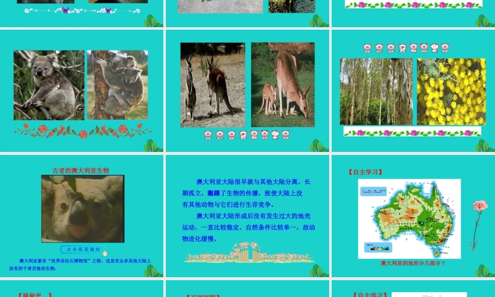 七年级地理下册 第八章 第四节 澳大利亚(一世界活化石博物馆 自然地理环境)课件 七年级地理下册 第八章 第四节 澳大利亚课件+素材(新版)新人教版-2