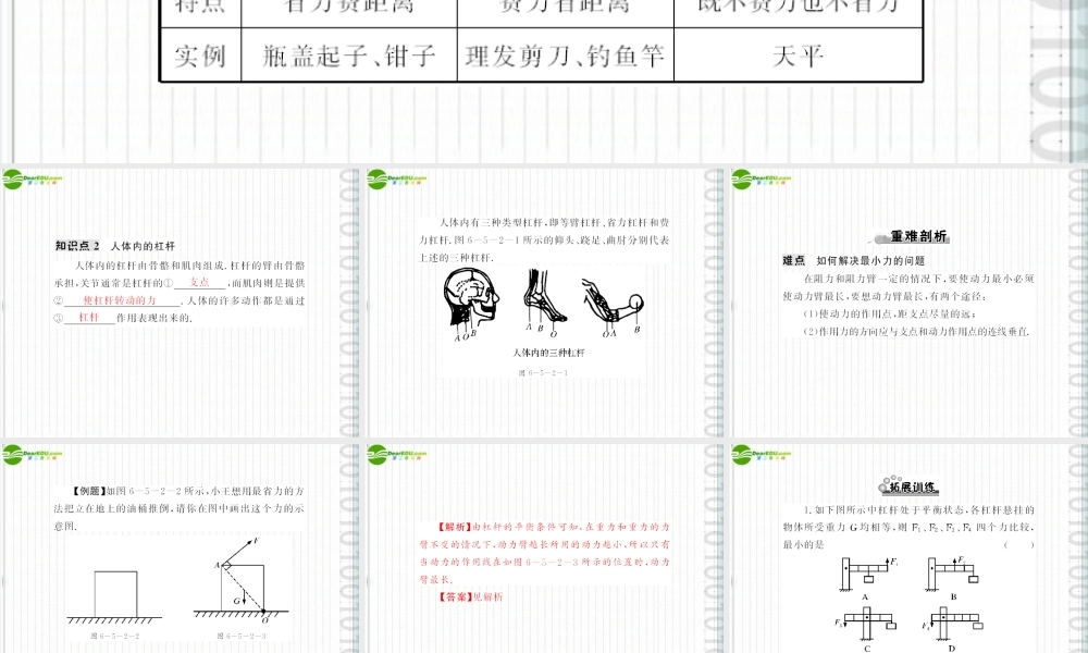 (随堂优化训练)八年级物理下册 第六章 6.5 探究杠杆的平衡条件 第2课时 生活中的杠杆配套课件 粤沪版 课件