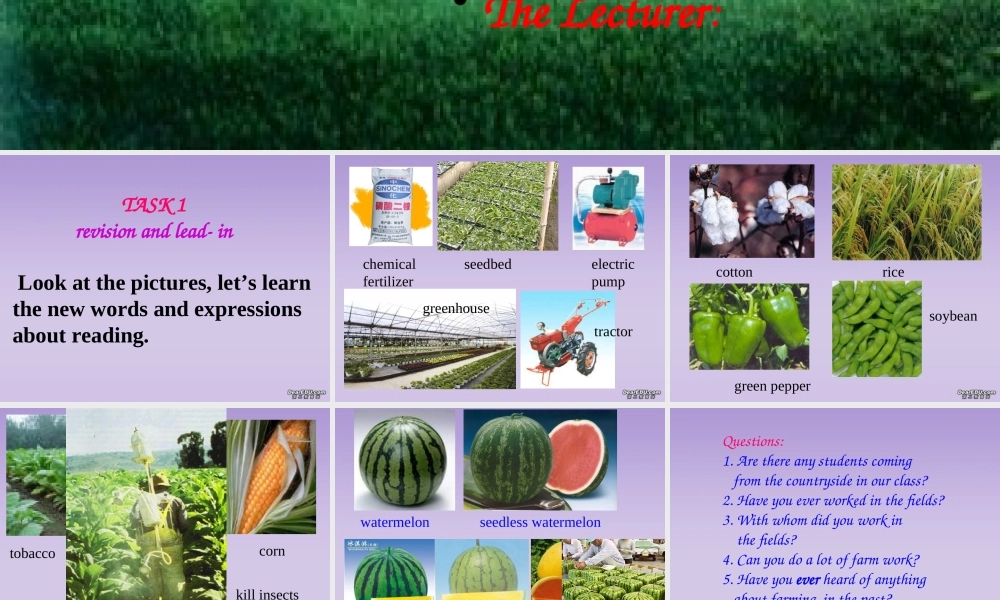 Unit19 book1 Modern Agriculture 新课标 人教版 课件