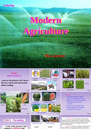 Unit19 book1 Modern Agriculture 新课标 人教版 课件