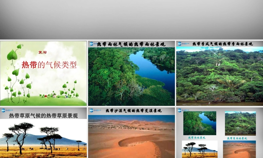 七年级地理上册 第四章 世界的气候复习课件1 湘教版 课件