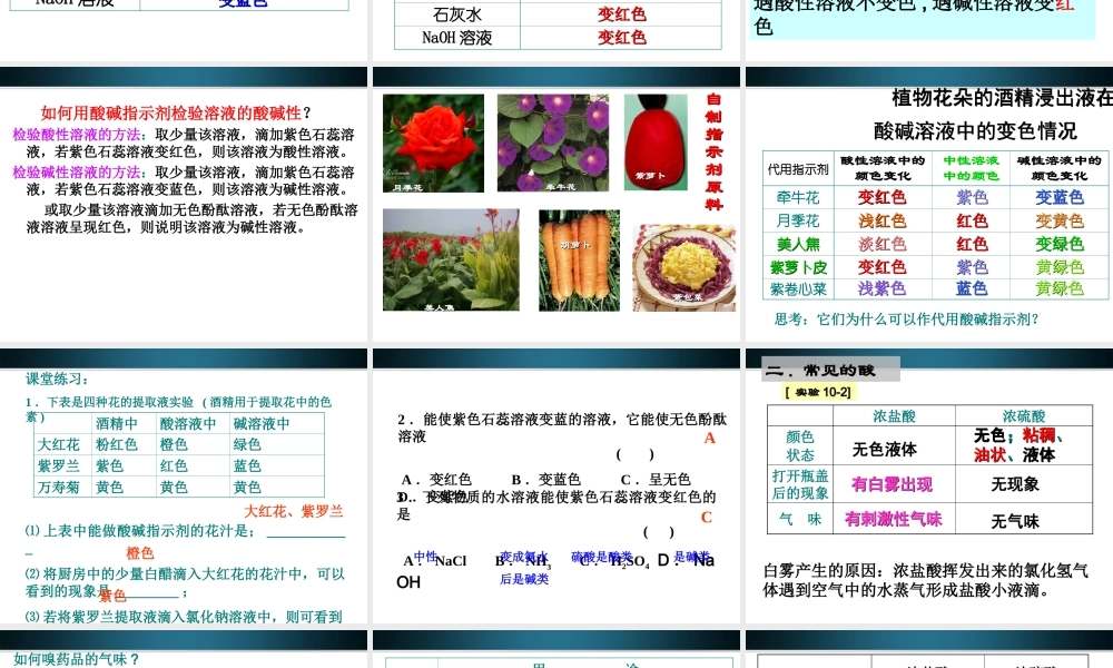 九年级化学下册 第十单元常见的酸和碱课件 人教新课标版 课件