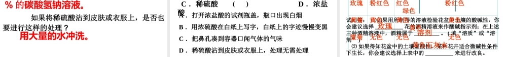 九年级化学下册 第十单元常见的酸和碱课件 人教新课标版 课件
