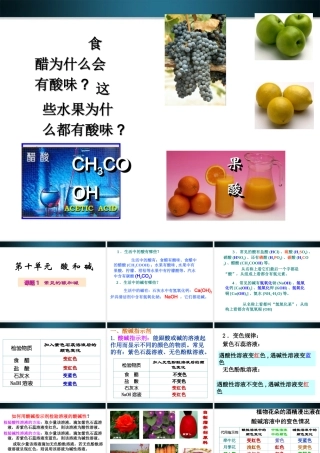 九年级化学下册 第十单元常见的酸和碱课件 人教新课标版 课件