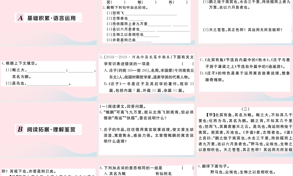 (河南专版)八年级语文下册 第六单元 21(庄子)二则习题课件 新人教版 课件