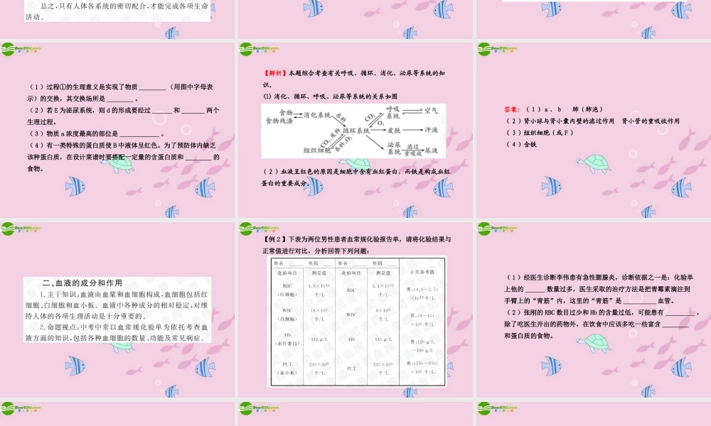 中考生物学业水平考试专题复习 专题三生物圈中的人——人体代谢课件