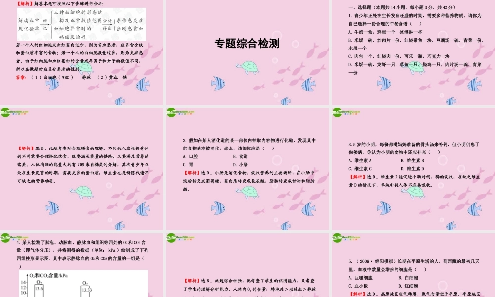 中考生物学业水平考试专题复习 专题三生物圈中的人——人体代谢课件