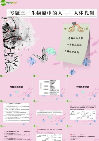 中考生物学业水平考试专题复习 专题三生物圈中的人——人体代谢课件