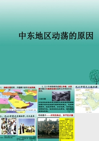 九年级历史下册 第13课(动荡的中东地区)中东地区动荡的原因课件 新人教版 010634