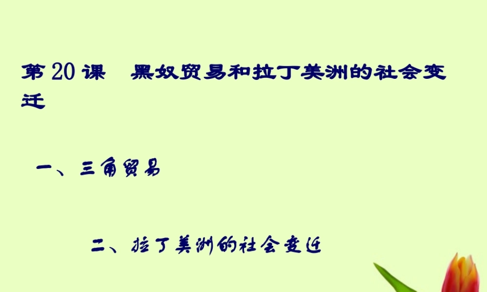 九年级历史上册 第七单元第黑奴贸易和拉丁美洲的社会变迁课件 华东师大版 课件