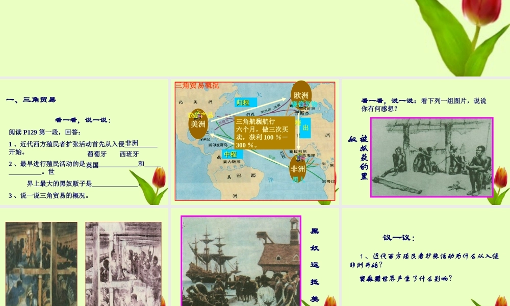 九年级历史上册 第七单元第黑奴贸易和拉丁美洲的社会变迁课件 华东师大版 课件