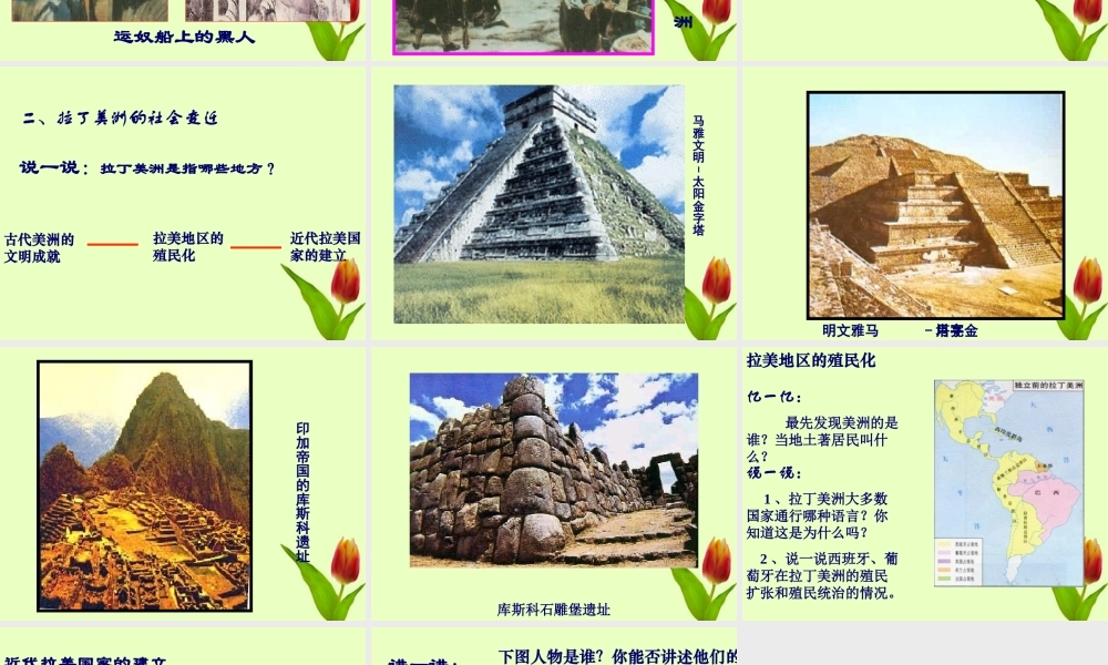 九年级历史上册 第七单元第黑奴贸易和拉丁美洲的社会变迁课件 华东师大版 课件