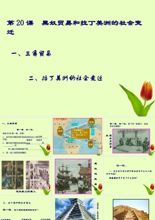 九年级历史上册 第七单元第黑奴贸易和拉丁美洲的社会变迁课件 华东师大版 课件
