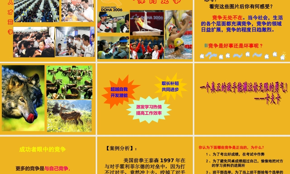 七年级政治下册 第二课(生命的林子)课件 人民版 课件