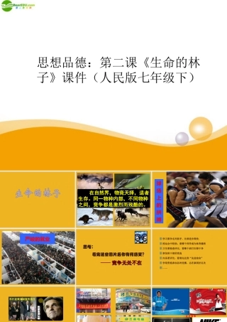 七年级政治下册 第二课(生命的林子)课件 人民版 课件