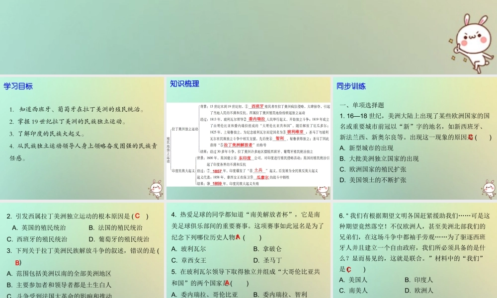 九年级历史上册 第16课 殖民地独立运动课件 北师大版 课件