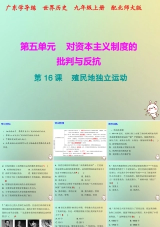 九年级历史上册 第16课 殖民地独立运动课件 北师大版 课件