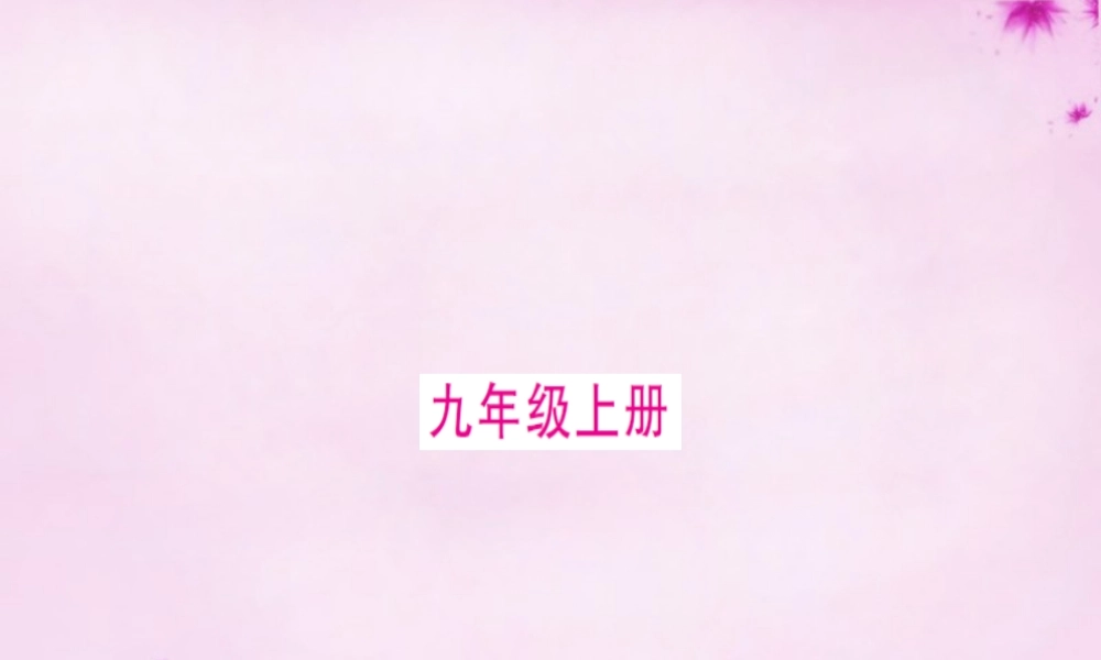 九年级(上册下册)口语交际课件 语文版 课件