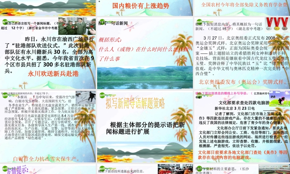 中考语文复习 压缩信息课件