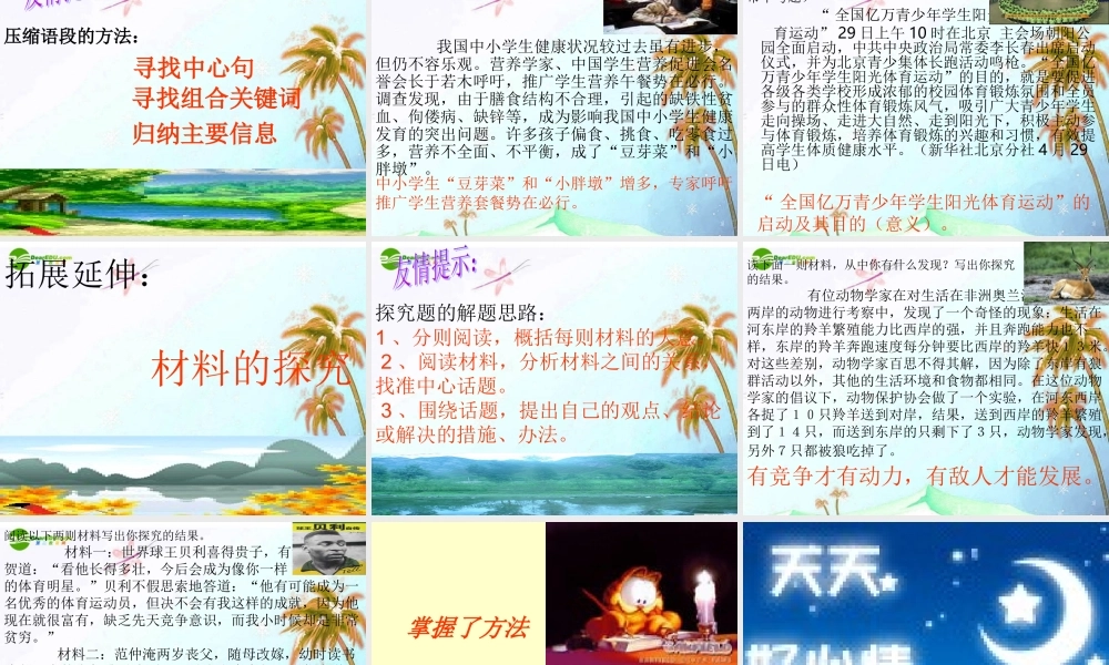 中考语文复习 压缩信息课件