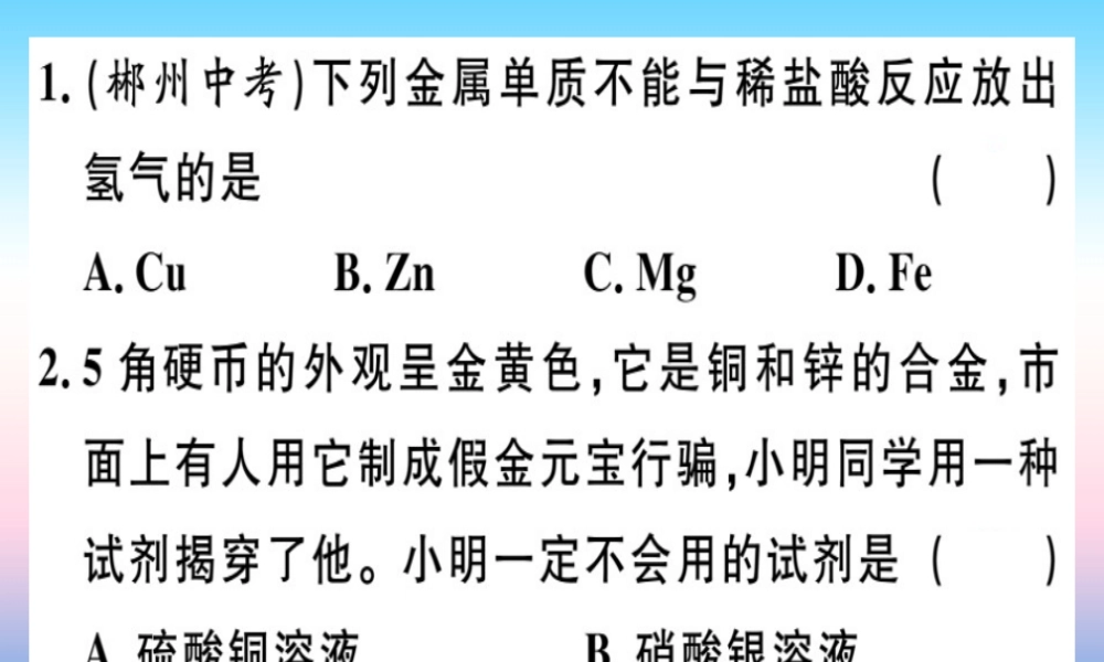 九年级化学下册 专题一 金属活动性顺序习题课件 新人教版 课件