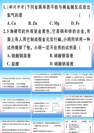 九年级化学下册 专题一 金属活动性顺序习题课件 新人教版 课件