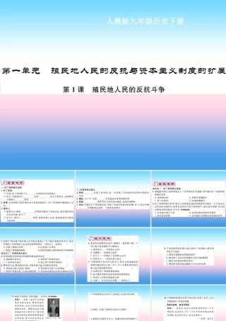 九年级历史下册 第1单元 殖民地人民的反抗与资本主义制度的扩展 第1课 殖民地人民的反抗斗争作业课件 新人教版 课件
